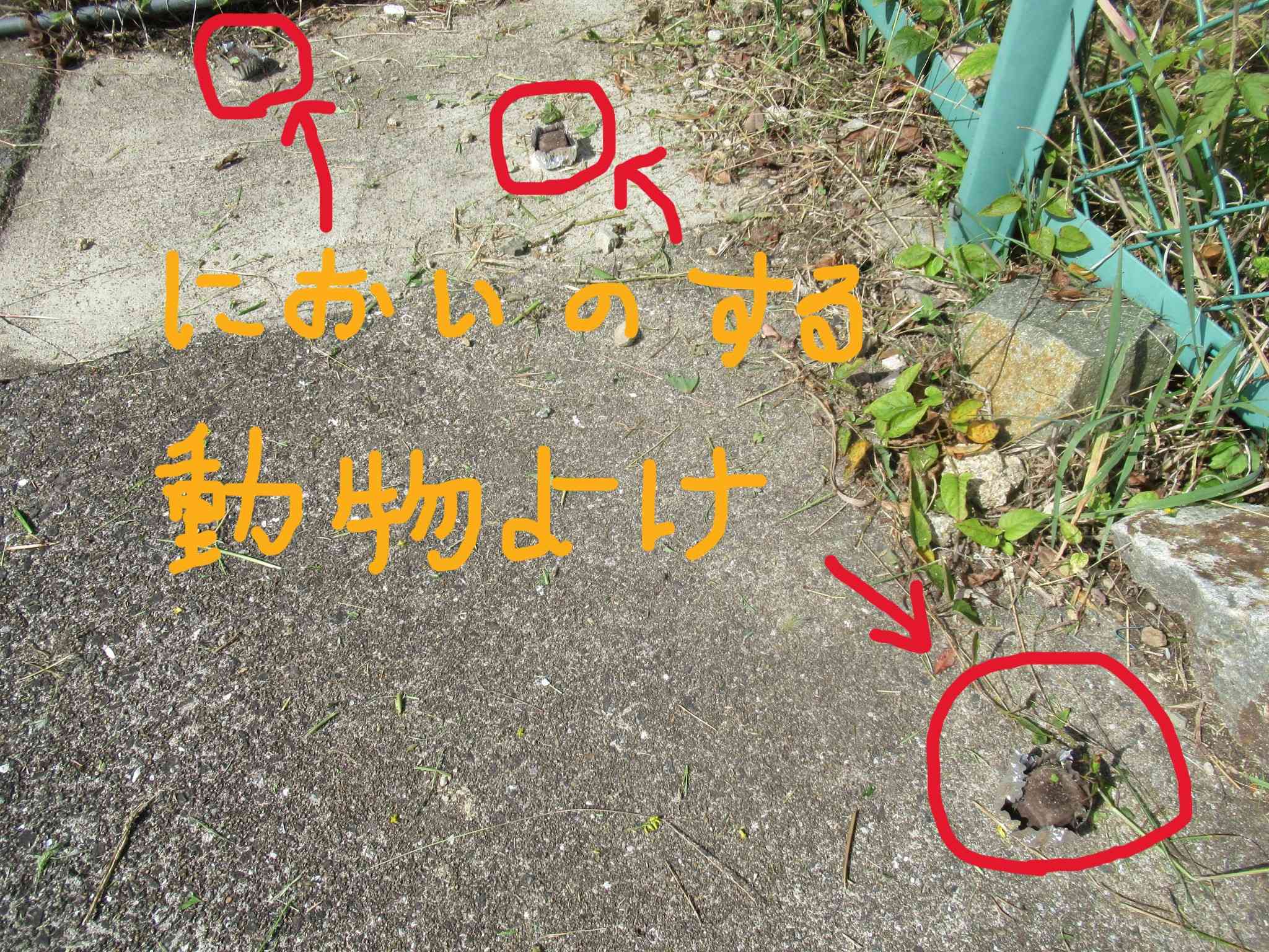 動物除けのにおい玉